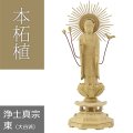 本柘植仏像 八角台座 東型阿弥陀 【浄土真宗東大谷派】