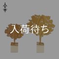 人と木シリーズ 森の木 ケヤキ