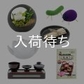  和モダン お盆飾りセット