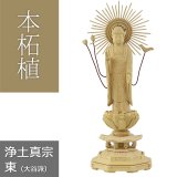 画像: 本柘植仏像 八角台座 東型阿弥陀 【浄土真宗東大谷派】