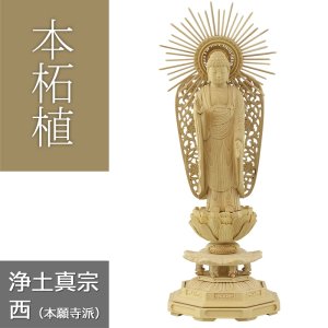 画像: 本柘植仏像 八角台座 西型阿弥陀【浄土真宗本願寺派】