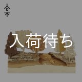 画像: 人と木シリーズ 森の木 連