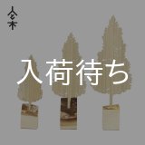 画像: 人と木シリーズ 森の木 スギ